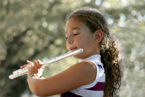 flute